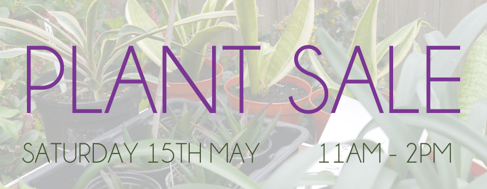 Plant Sale Web Banner