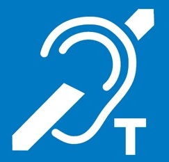 Induction loop system